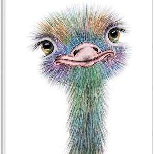Ostrich canvas wall art, watercolor cute animal art, stretched framed, ready to hang.