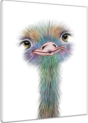 Ostrich canvas wall art, watercolor cute animal art, stretched framed, ready to hang.