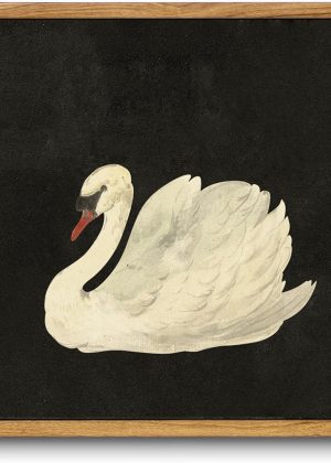 Framed canvas wall art, suitable for living room and bedroom decoration, vintage swan watercolor canvas painting, rustic bathroom decoration wall art.